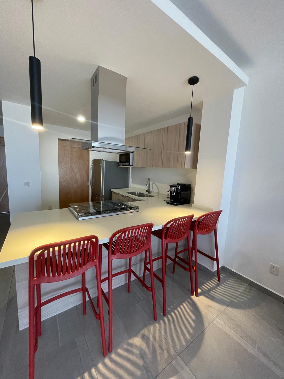 DEPARTAMENTO AMUEBLADO EN RENTA EN JOCOTEPEC - Imagen 7